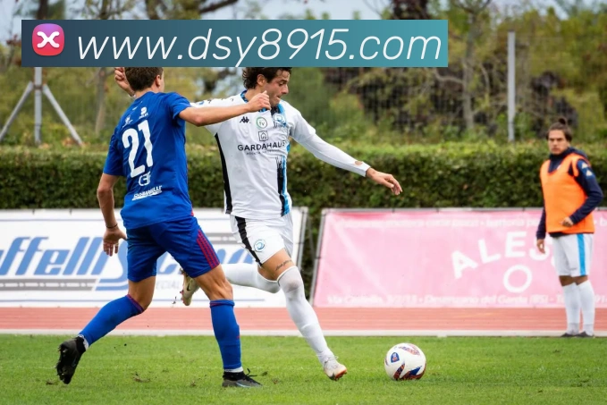 大三元官网平台登录平台生态图