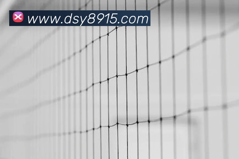 大三元官网平台登录全站App